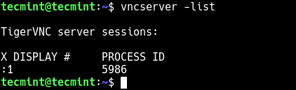 List VNC Sessions