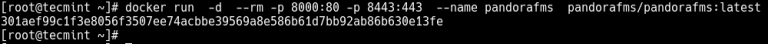 Run Docker Container in Background (Detached Mode)