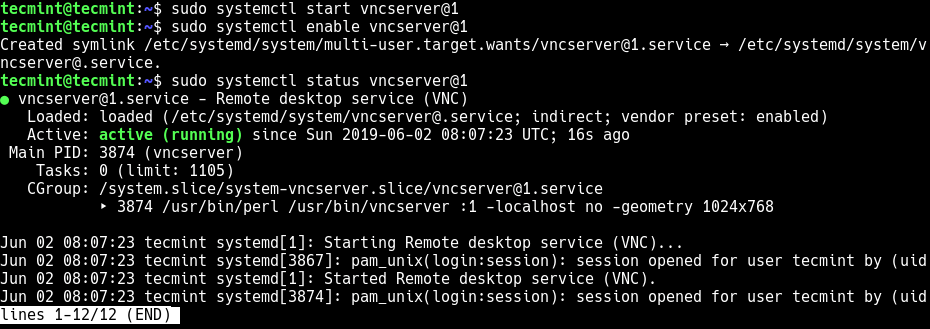 Start and Verify VNC Status