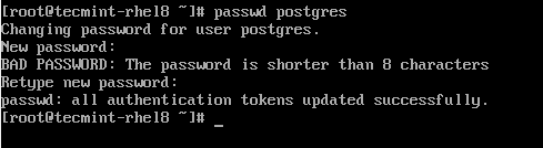 Set Password for Postgres User