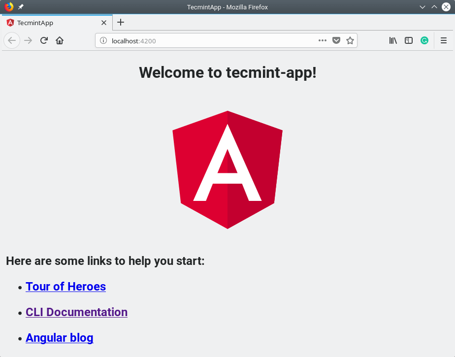 Greifen Sie auf Ihre neue Angular App zu