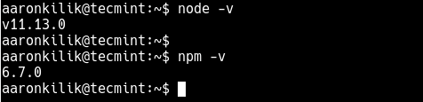 Check Node.js and NPM Version