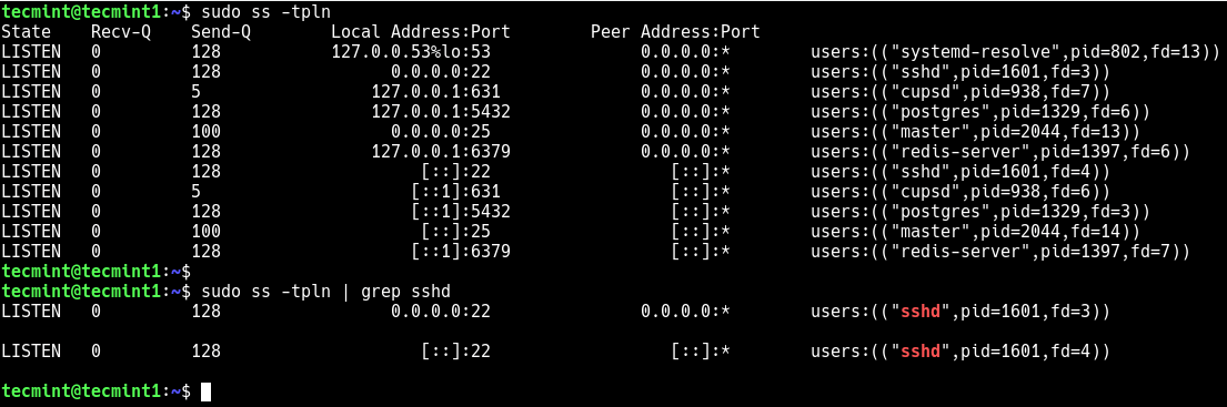 Überprüfen Sie den SSH-Port in Debian