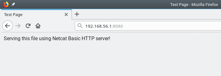 Testen Sie den Webserver