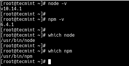 Verify Node.js Installation