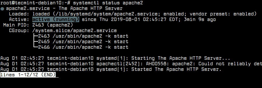 Überprüfen Sie den Apache-Status in Debian 10