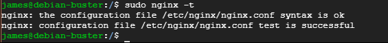 Überprüfen Sie die Nginx-Konfiguration