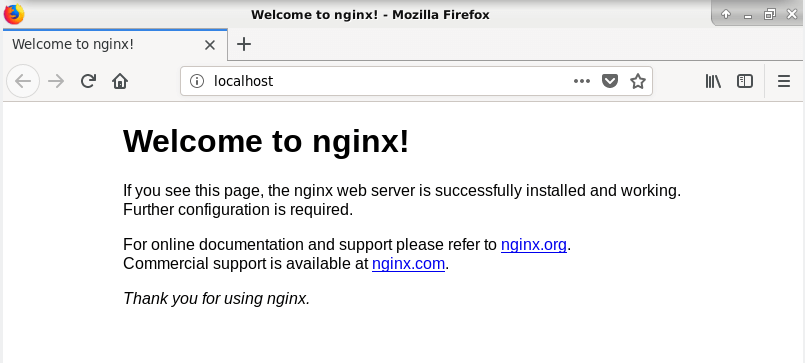 Überprüfen Sie die Nginx-Seite auf Debian 10