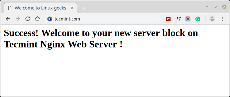 Check Nginx Server Block Website on Debian 10