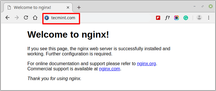 Check Nginx with Domain on Debian 10