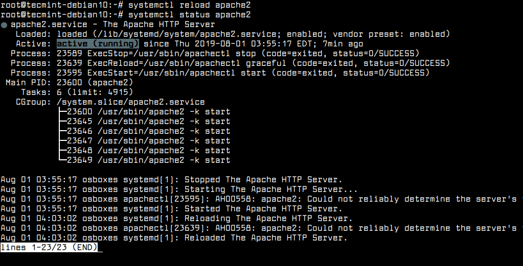 Reload Apache Configuration