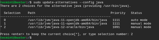 Set Java Default Version in Debian 10
