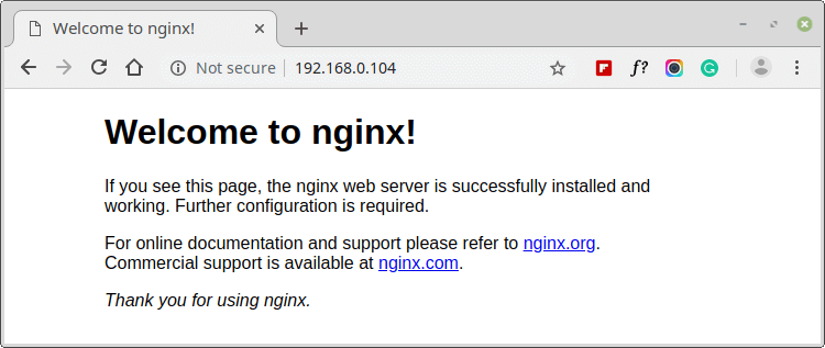 Überprüfen Sie den Nginx Webserver unter Debian 10