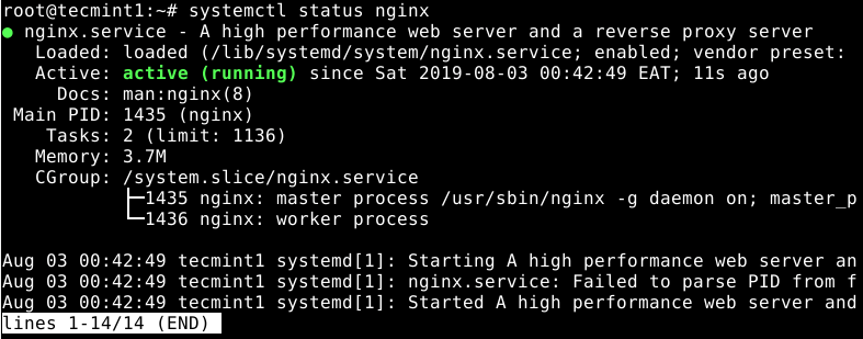 Check Nginx Status