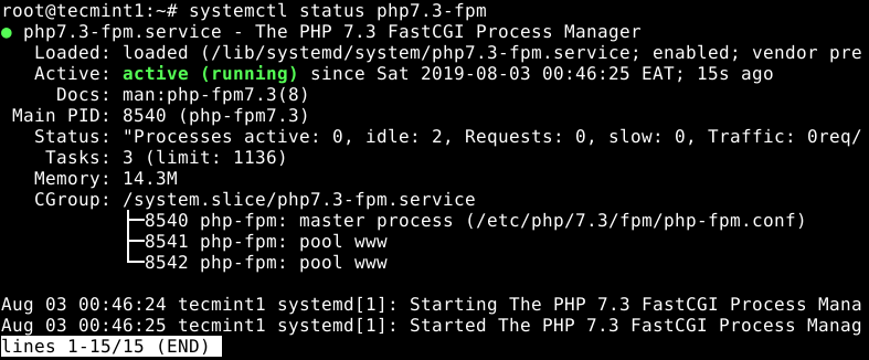  Verificar el estado de PHP-FPM 