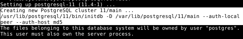 PostgreSQL Database Initialization