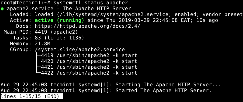 Überprüfen Sie den Apache-Status in Debian