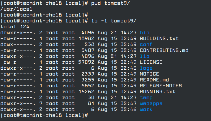 Check Apache Tomcat Files