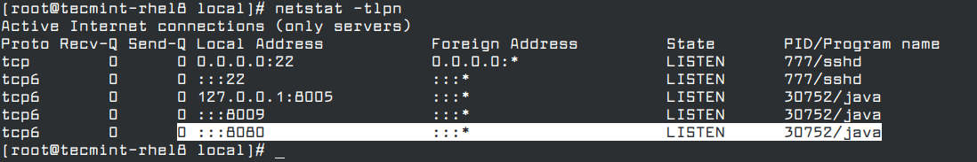 Überprüfen Sie den Apache Tomcat-Port