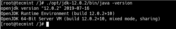 Check Java OpenJDK 12 Version