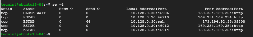  Buscar conexiones de sockets IPv4 en Linux 