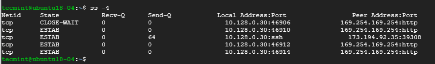 Suchen Sie nach IPv4-Socket-Verbindungen unter Linux