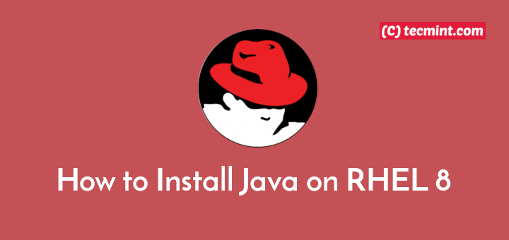 Install Java in RHEL 8