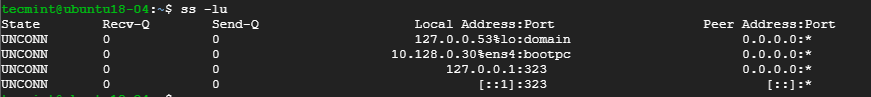 List Listening UDP Connections in Linux