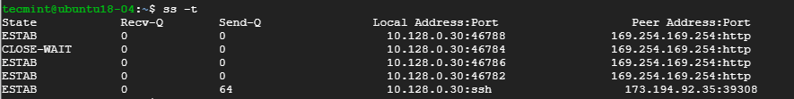 List TCP Connections in Linux
