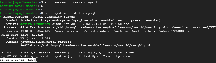 Restart and Check MySQL Status