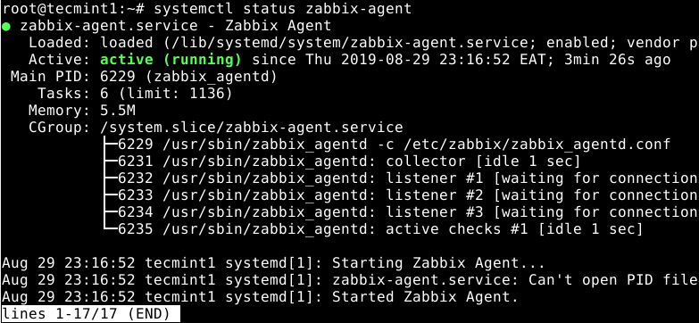 Überprüfen Sie den Zabbix Agent-Status