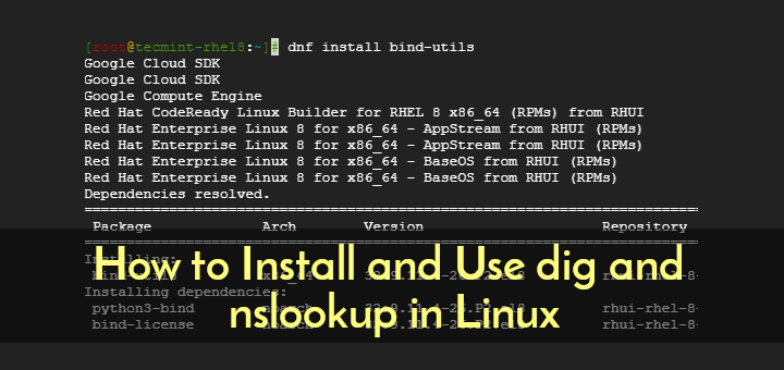 Install dig and nslookup in Linux