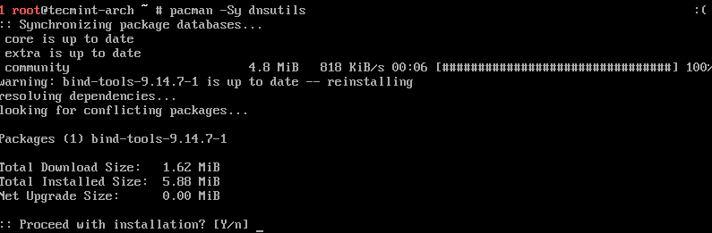 Installieren Sie dns-utils Arch Linux