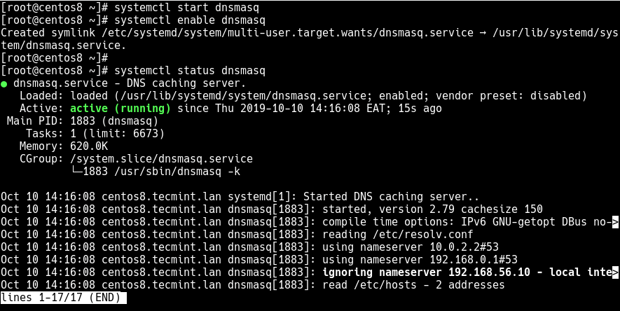 Starten und überprüfen Sie den dnsmasq-Status