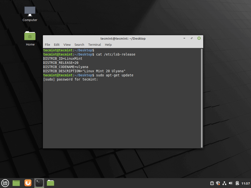 Update Linux Mint