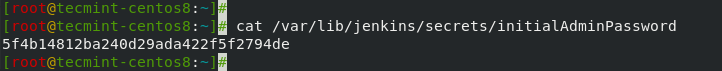 Jenkins-Administratorkennwort anzeigen