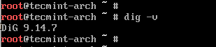 Check dig Version in Arch Linux