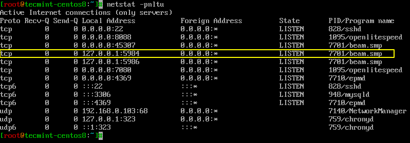 Check CouchDB Port Status