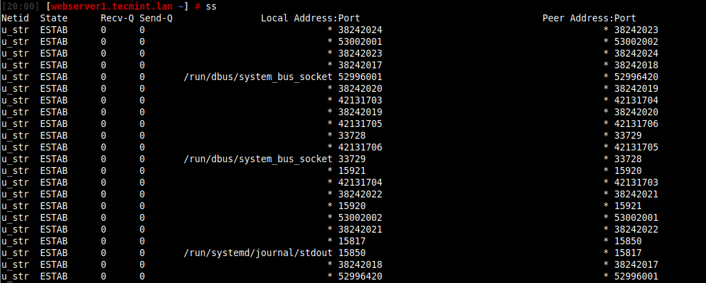 List All Network Connections