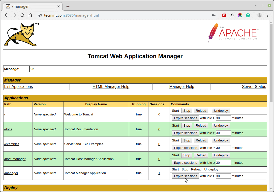 Tomcat-Webanwendungs-Manager