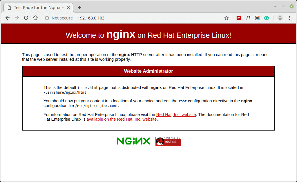  Verificar página web de Nginx 