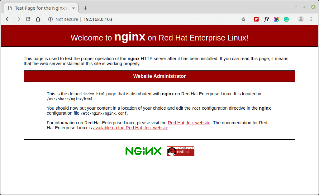 Verify Nginx Web Page