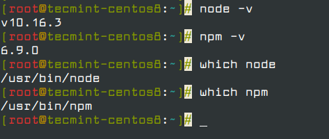 Verify Nodejs Version