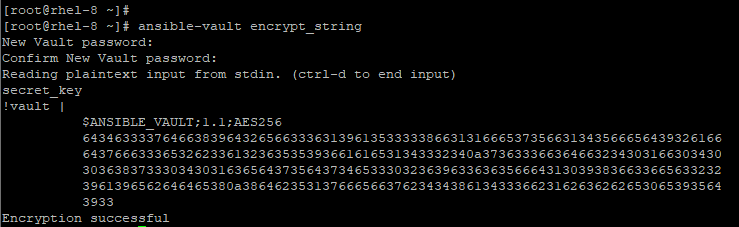 Verschlüsselte spezifische Variablen in Ansible