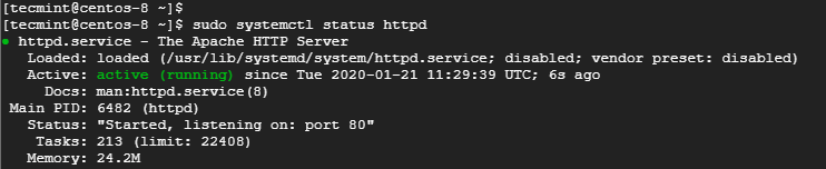 Check Apache Web Server Status