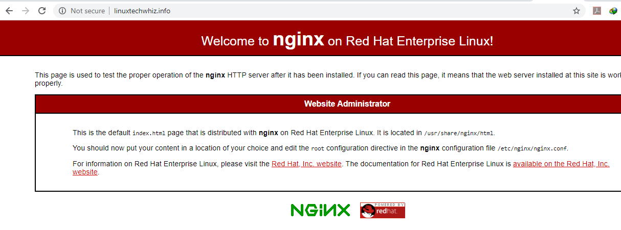 Überprüfen Sie die Nginx-Webseite