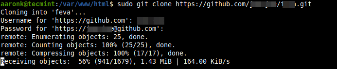 Klonen Sie das Remote Git Repository