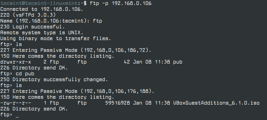 Verbinden Sie den FTP-Client über das Terminal