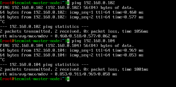Ping Worker Nodes from Master Node