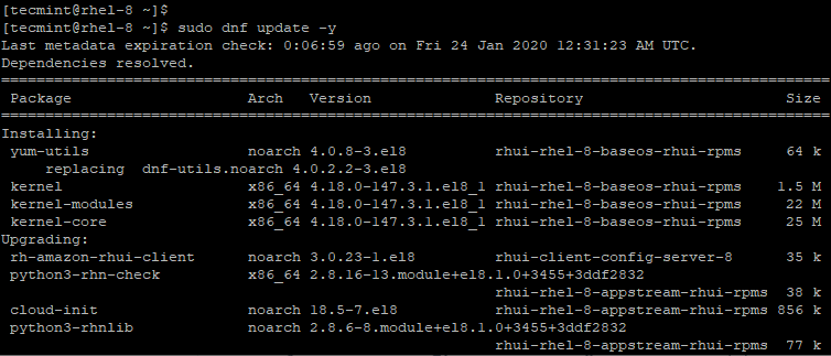 Update RHEL 8 System